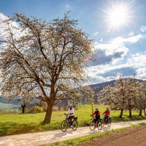 Baselland - EBike ©Baselland Tourismus