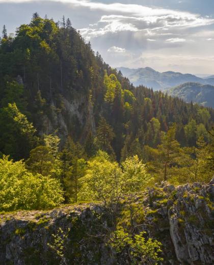  Baselland-belchen ©Baselland Tourismus